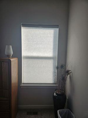 Alta split shade light filtering full window