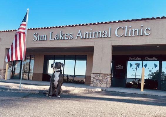 Sun Lakes Chandler Animal Clinic