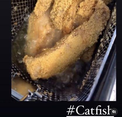 Fried Catfish