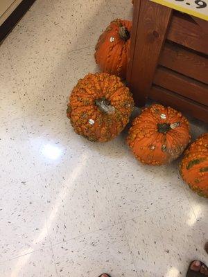 Ugly pumpkins at Ingles