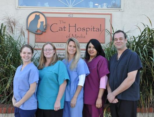 The Cat Hospital of Media