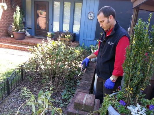 Step 16 Bait application for ants and general pests around patios