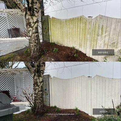 Fence before and after