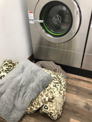 Cleaned dog beds (Washer #33).  Task accomplished!!!