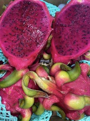 Exotic Fruit - Red Dragon Fruit