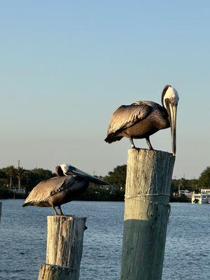 Sites to see off deck