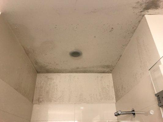 Before: Shower ceiling mold