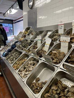 Lots of varieties of Oysters