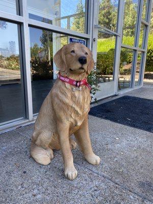 Man's best friend to greet you when you walk up!