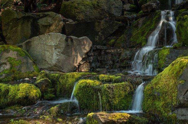 The Elaine D. Flowerree Waterfall