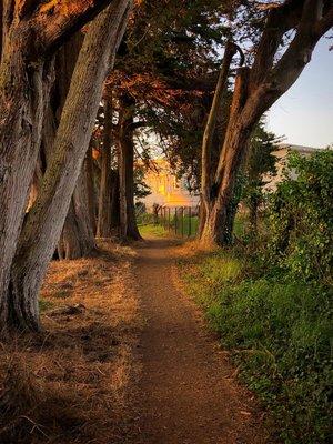 Clement Trail with the Legion of Honor Museum in the Distance