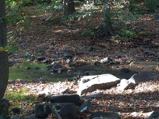 The babbling stream from one of the benches