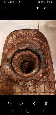 Toilet flange repair