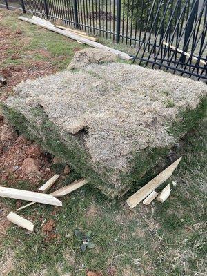 Left a pallet of sod when they left the job.