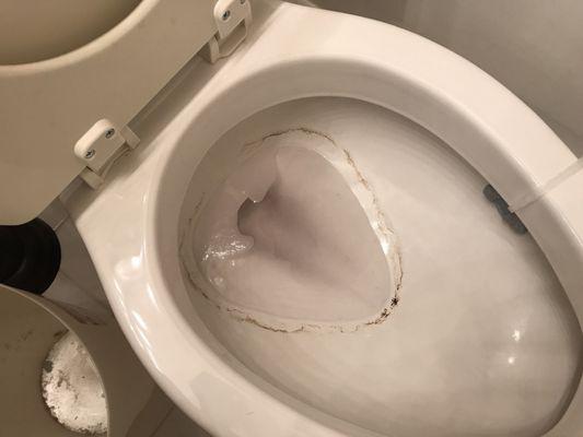 Again the unused toilet bowl with scaling left dirty!!