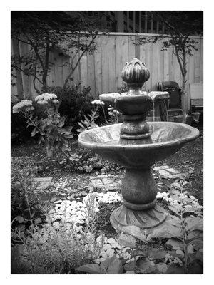 Fountain in the garden