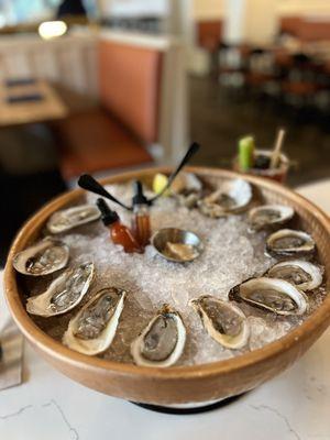 Iced Oysters*