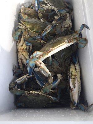 A great day for a blue crab special!!!