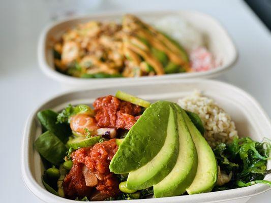 Small bowl: Half Brown Rice/Half Spring Mix with spicy tuna, salmon , and avocado!