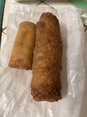 Egg roll and spring roll