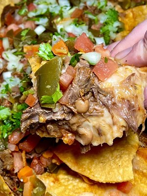 Birria nachos - takeout, with sour cream and salsa on side, tons of toppings