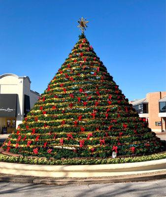 Rocking Around The Christmas Tree Friday! (December, 2020)