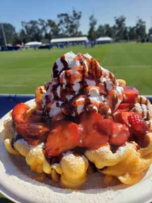 Now this is a Funnel Cake...the Works!