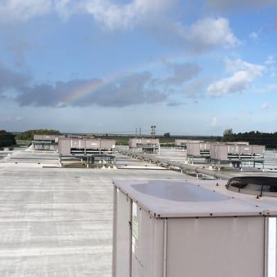 Rainbow form the roof of food processing plant