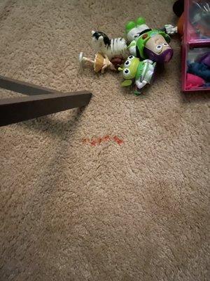 Carpet culprit