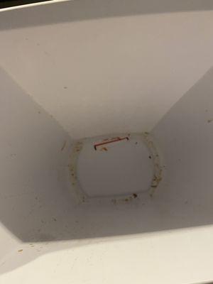 Filth in bottom of kitchen trash can