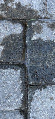 Driveway pavers with leaked oil.