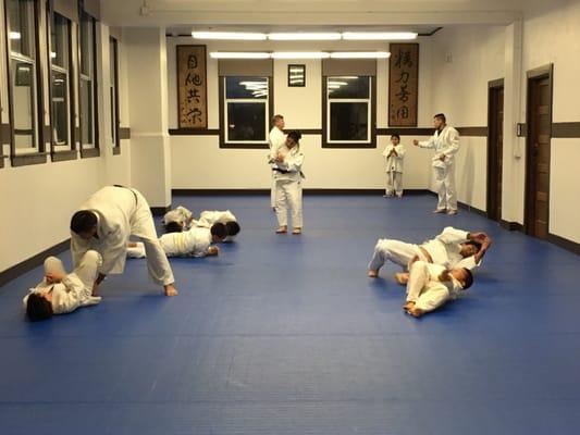 Judo for all ages, gender, and skill levels at the Japanese Cultural Center of Washington.