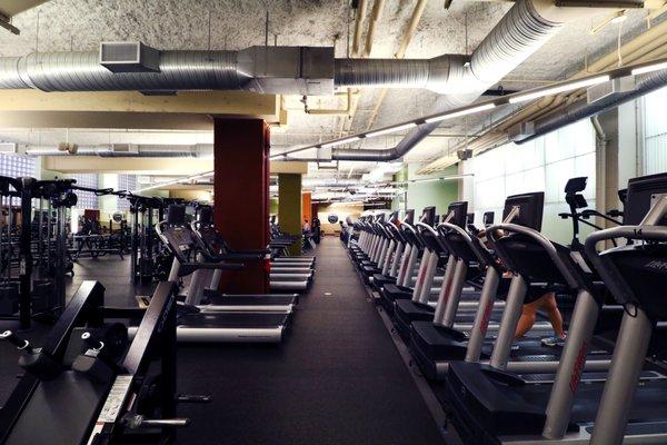 Cardio area