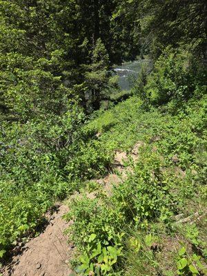 Off road trail to the top of Lower Mesa Falls