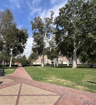 Doheny Memorial Library