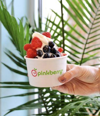 pinkberry norman frozen yogurt