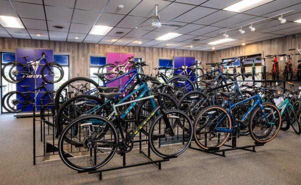 We stock hundreds of bikes from Giant, Liv, Cannondale, Marin, Momentum, including electric bikes.