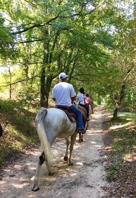 Saddle up and enjoy some spectacular views as you ride along Dinosaur Valley State Park scenic trails...