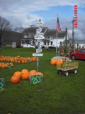 Pumkins!