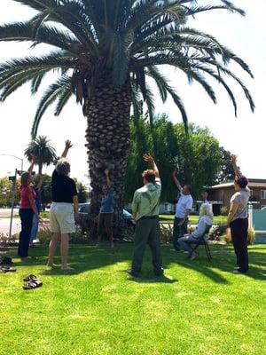 Qi Gong on the lawn every Friday at 12:30 Free to all ages and abilities.