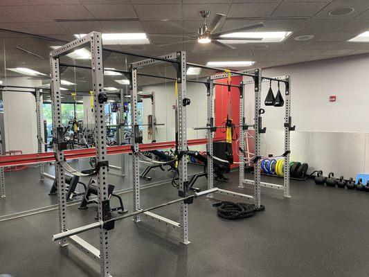 Free Weight Cage Area with Bumper Plates