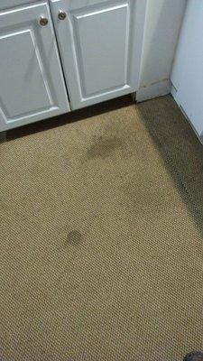 Carpet stains