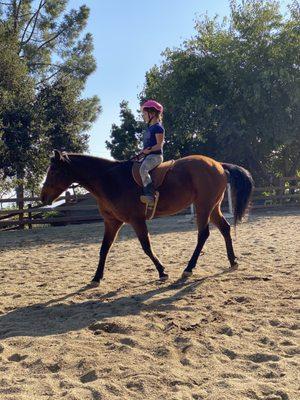 This student is beautifully demonstrating a happy and relaxed horse, as well as her own beautiful equitation!