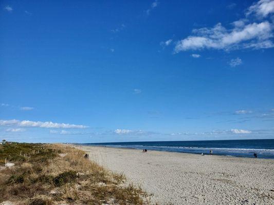 Beach Looking North