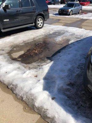 ice in parking lot, has not been salted or removed