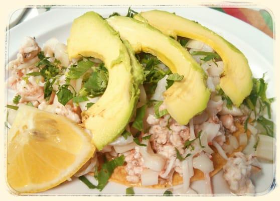 Ceviche tostado