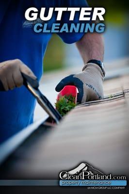 Gutter Cleaning