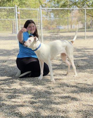 Play time with a former league dog tiny!! Loved all my time volunteering with her!