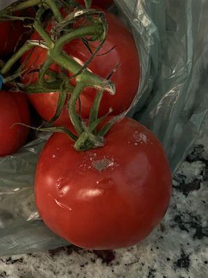 tomatoes