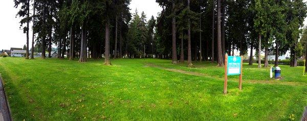 Walking trail into the trees